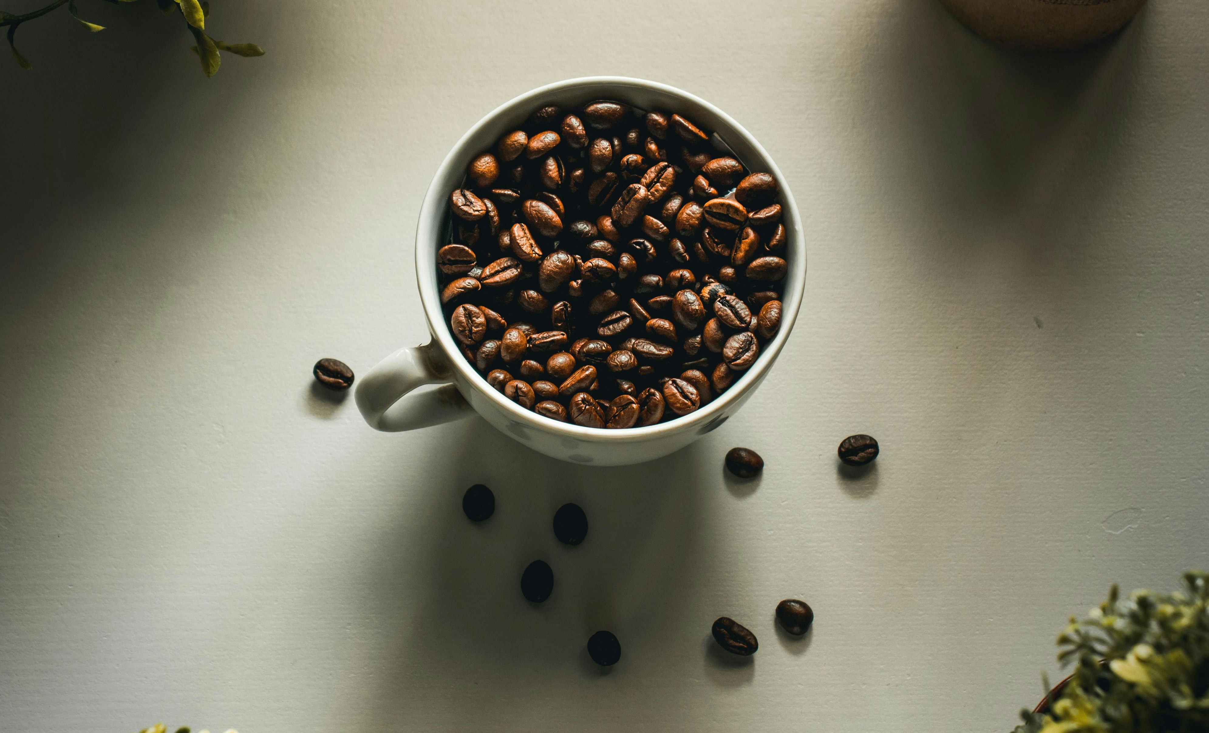 Beans in a cup